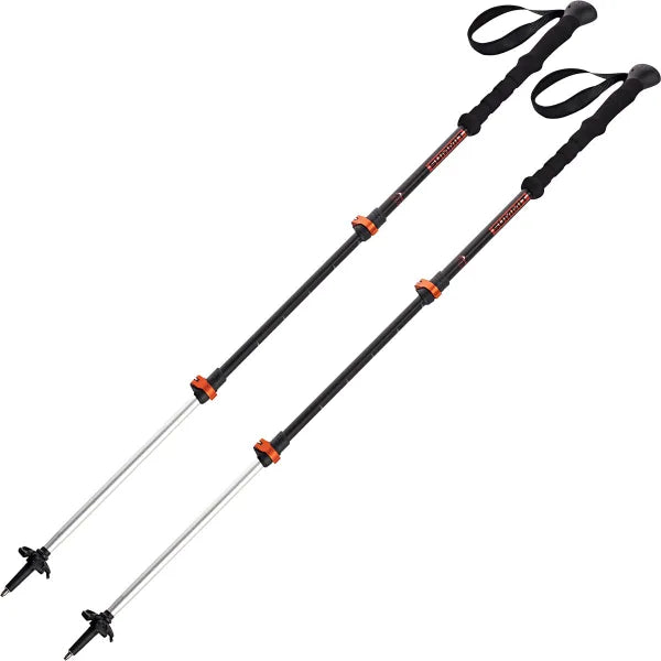 Bâtons téléscopiques (la paire)