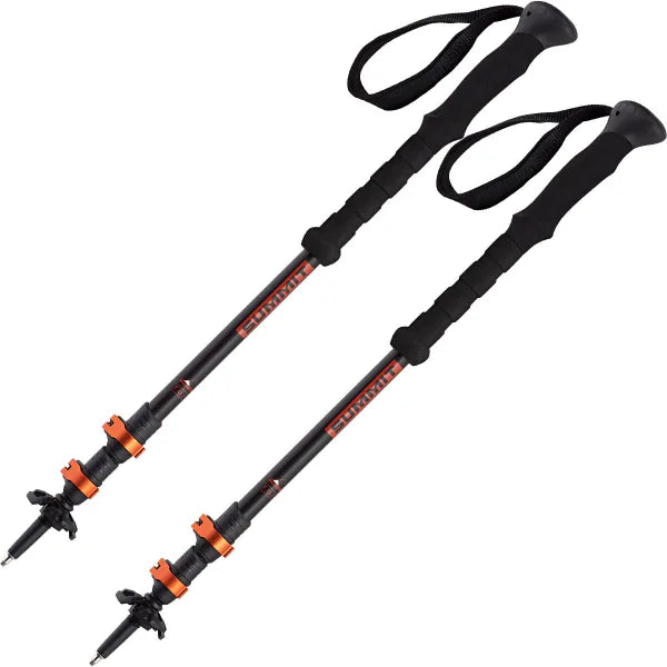 Bâtons téléscopiques (la paire)