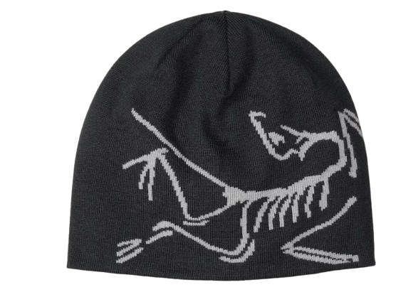 BONNET LIGHTWEIGHT BIRD HEAD TOQUE ARC'TERYX