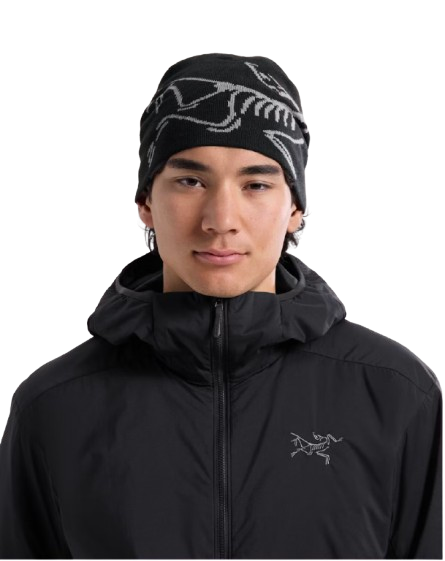 BONNET LIGHTWEIGHT BIRD HEAD TOQUE ARC'TERYX