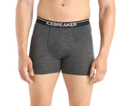 BOXER ANATOMICA HOMME ICEBREAKER