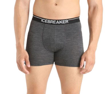BOXER ANATOMICA HOMME ICEBREAKER