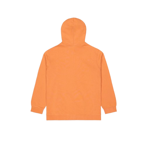 SWEAT NIHI ZIP HOODIE HOMME PICTURE