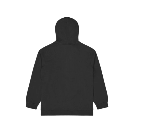 SWEAT NIHI ZIP HOODIE HOMME PICTURE