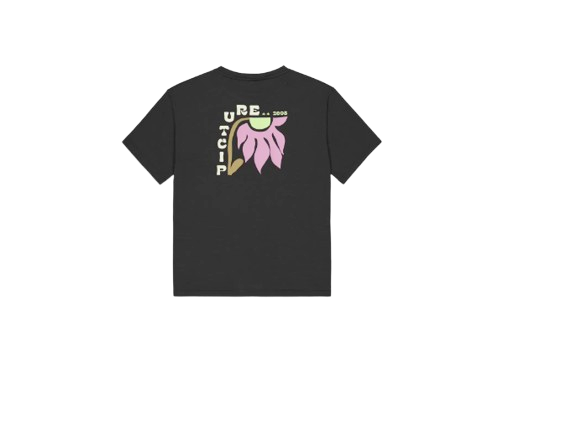 TEE SHIRT TIMONT FEMME PICTURE
