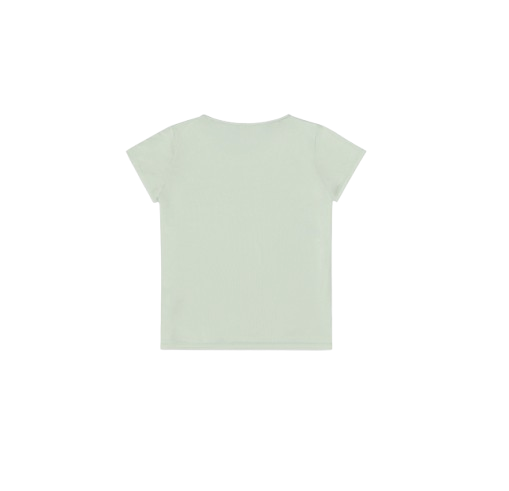 TEE SHIRT HILA FEMME PICTURE