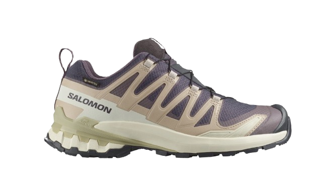 CHAUSSURES XA PRO 3D V9 GTX FEMME SALOMON