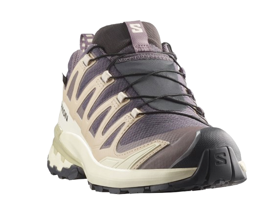 CHAUSSURES XA PRO 3D V9 GTX FEMME SALOMON