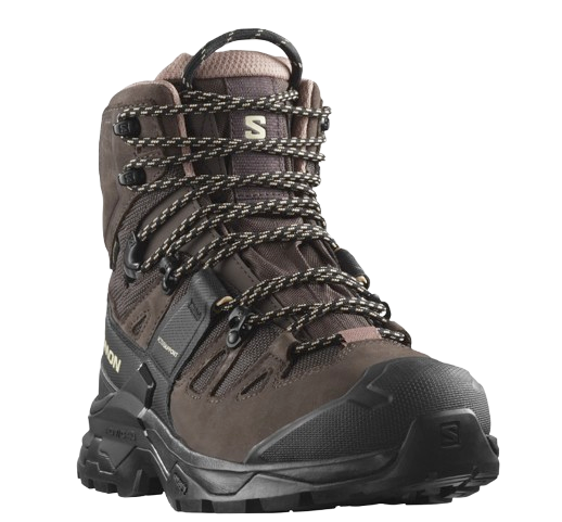 CHAUSSURES RANDONNEE QUEST 4 GTX FEMME SALOMON