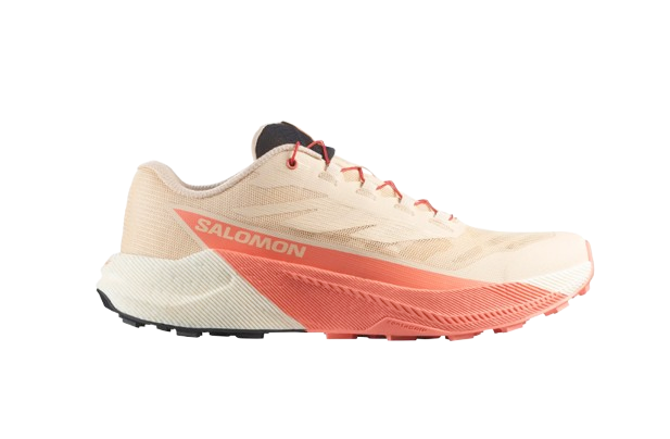 CHAUSSURES PULSAR FEMME SALOMON