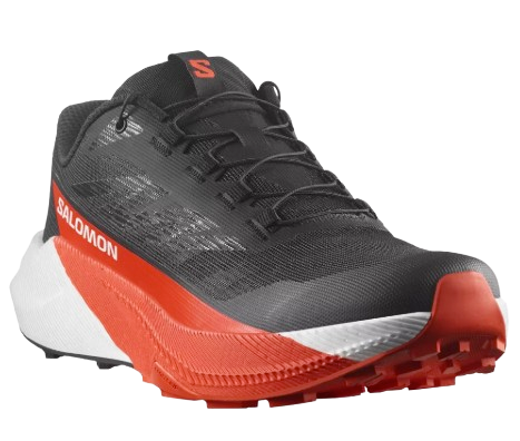 CHAUSSURES PULSAR HOMME SALOMON