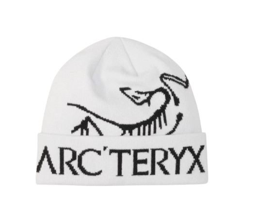 BONNET BIRD WORD TOQUE ARC'TERYX