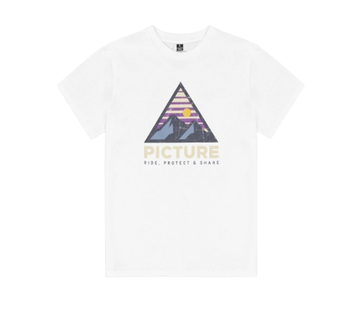 TEE SHIRT MC AUTHENTIC HOMME PICTURE