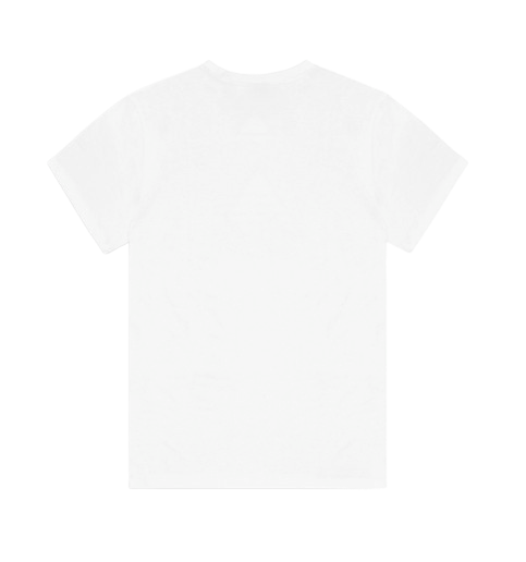 TEE SHIRT MC AUTHENTIC HOMME PICTURE