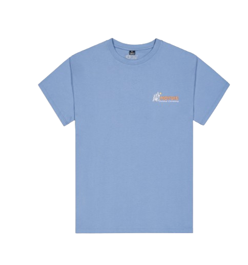 TEE SHIRT MC TOANAH HOMME PICTURE