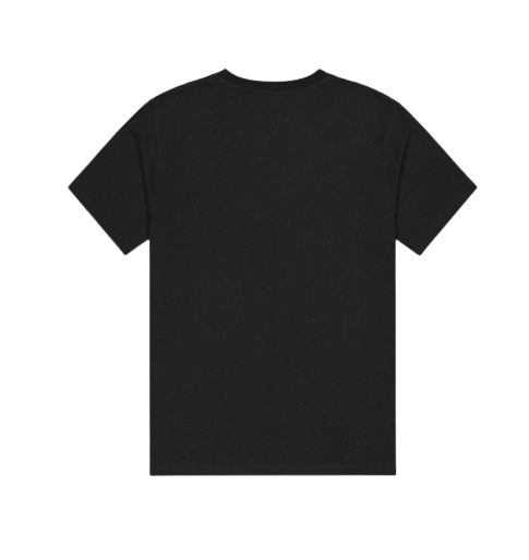TEE SHIRT MC ADAK HOMME PICTURE