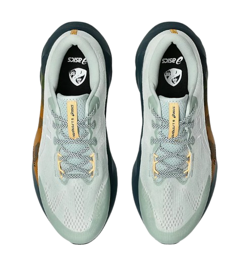 CHAUSSURES NOVABLAST 5 TR HOMME ASICS