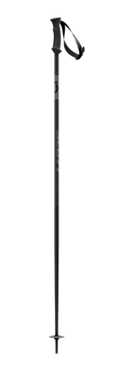 BATONS SKI 540 PRO SCOTT