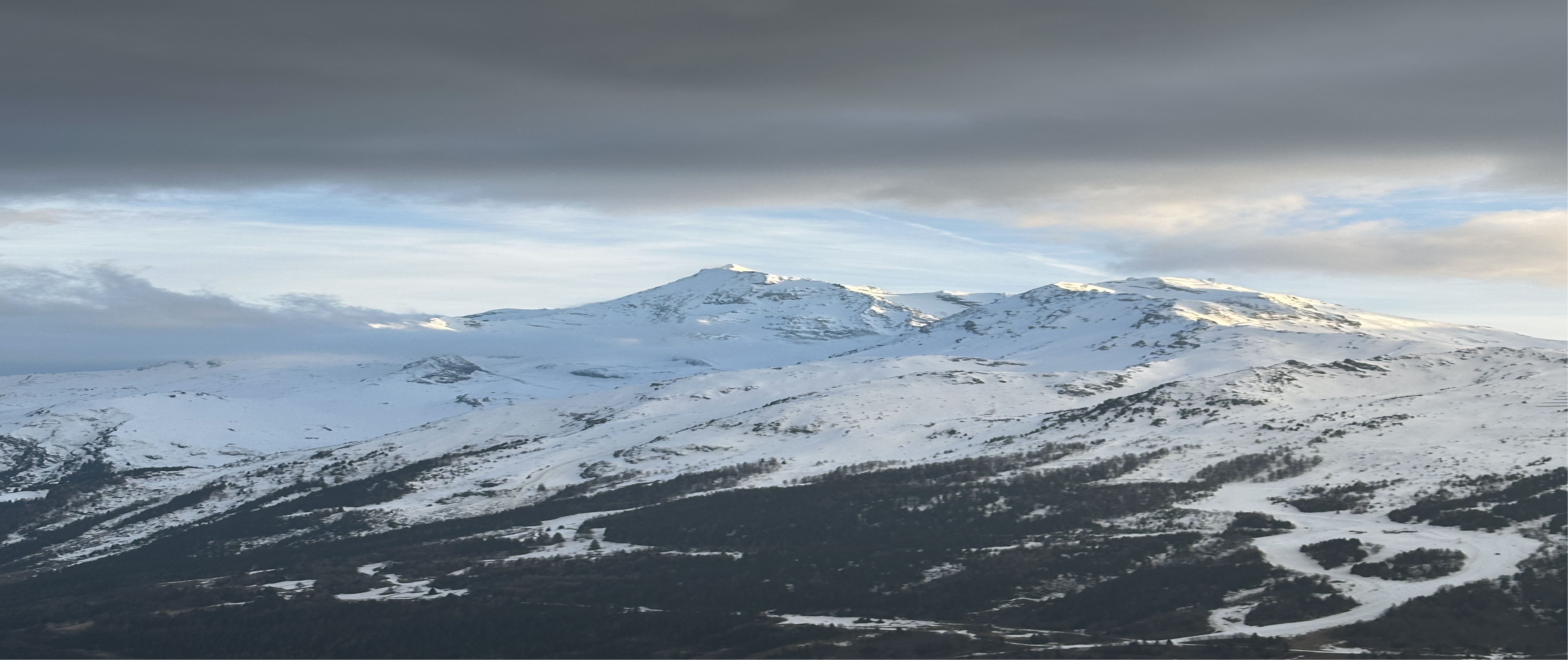 Alt Image