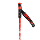 Batons ski hero sl Rossignol
