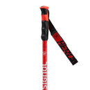 Batons ski hero gs-sg Rossignol